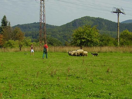pasení (2).JPG