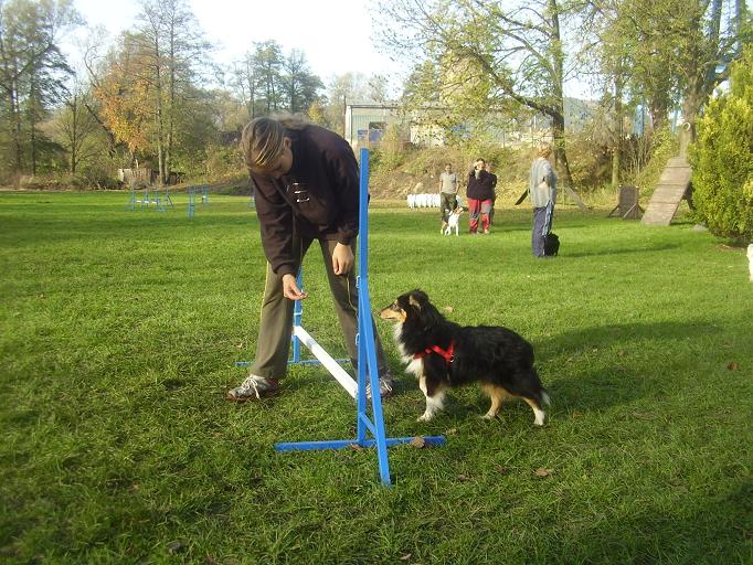 Ultimo na agility (2).JPG